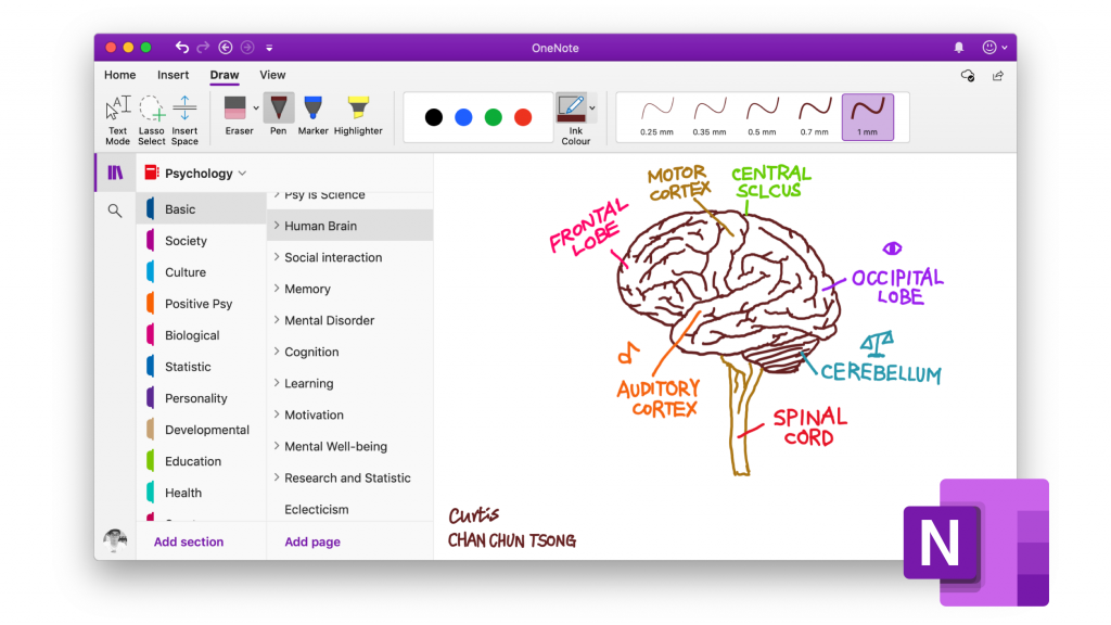 Notion Vs Onenote: Ist Notion besser als Onenote?